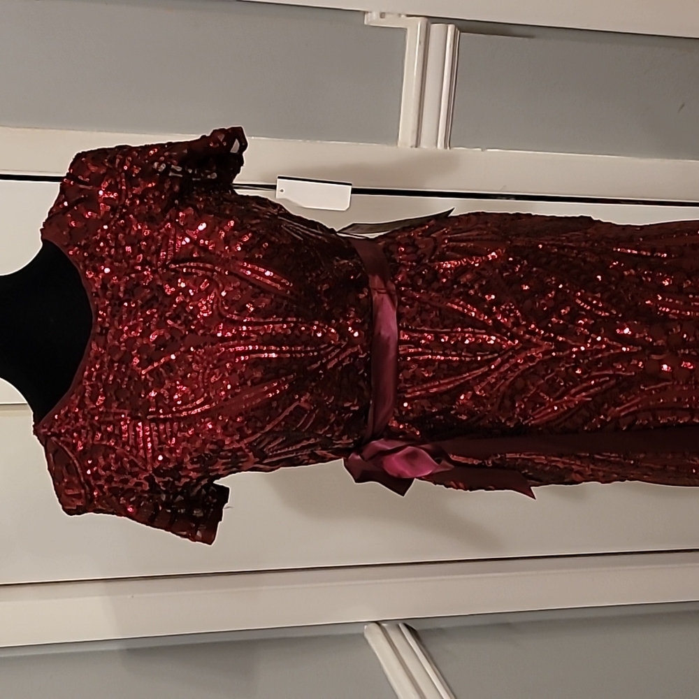 R & M Richards Burgundy Sequin Evening Gown - Picture 7 of 12